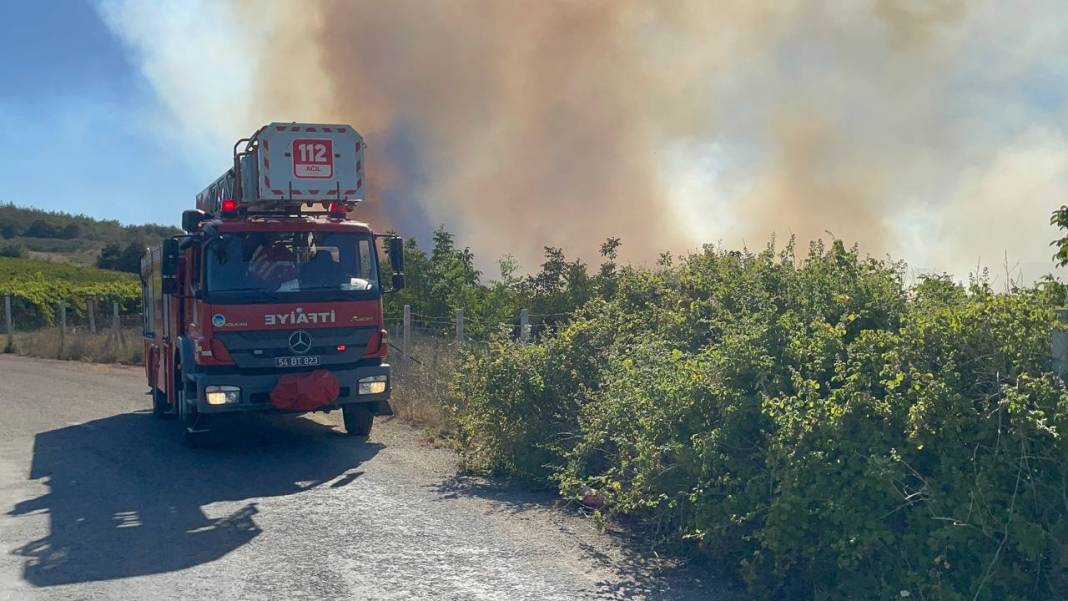 Sakarya'da orman yangını 25